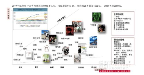 成熟品牌的營銷突破 金光APP與中網(wǎng)品牌策劃的戰(zhàn)略咨詢解析